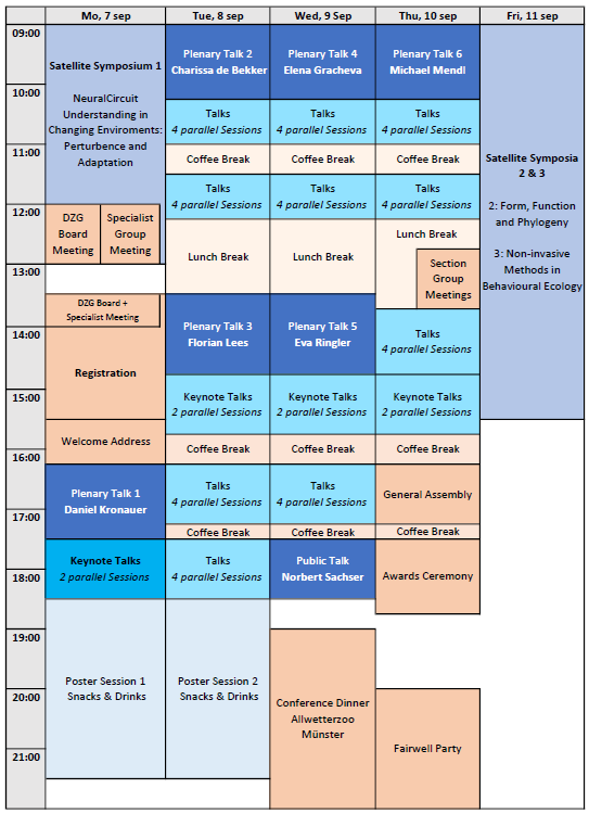 DZG_Ablufplan_neu_2.png 