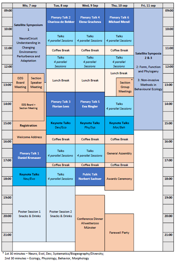 DZG_Ablufplan_neu_4.png 