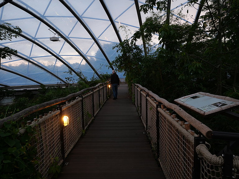 P1156162.JPG 