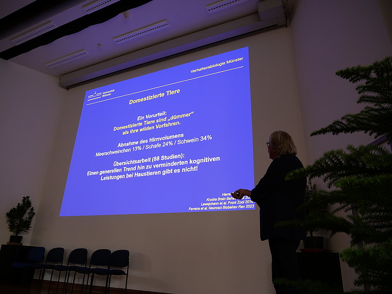 P1156021.JPG 