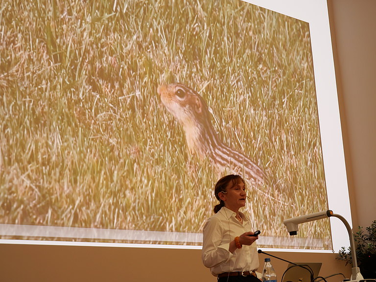 P1155742.JPG 