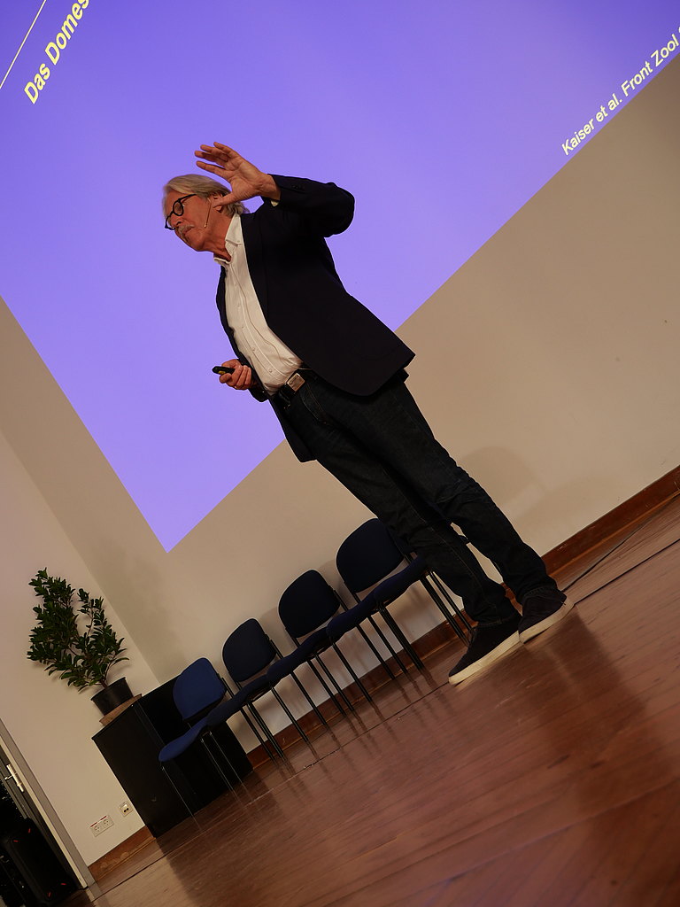 P1156009.JPG 
