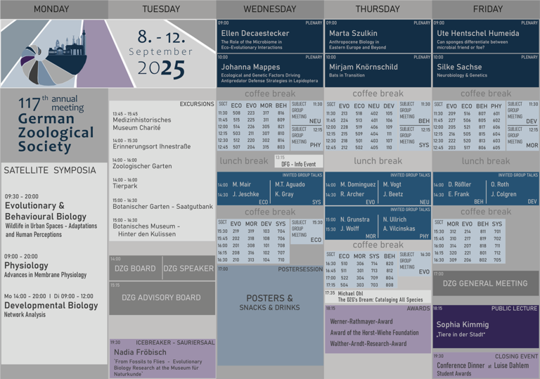 Programm_Details_Slots-2.png 
