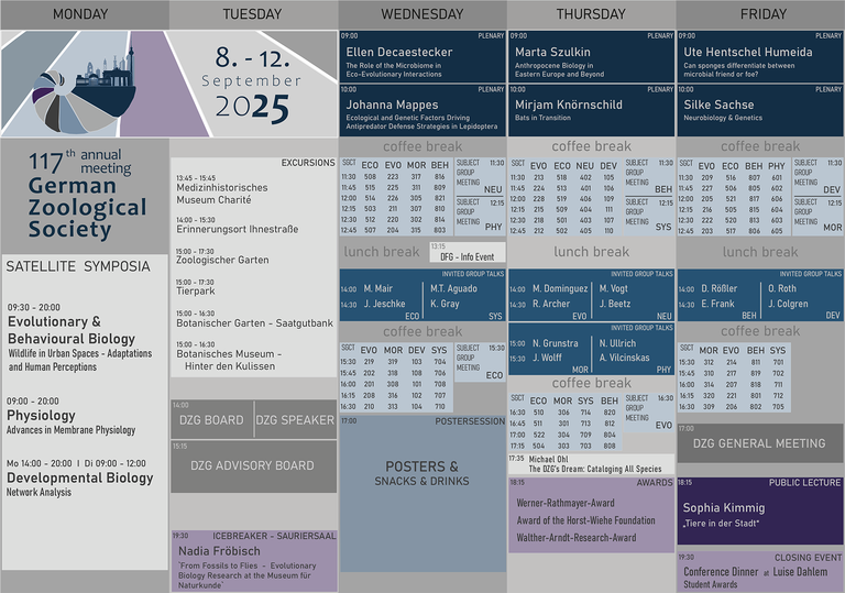 Programm_Details_Slots-2.png 