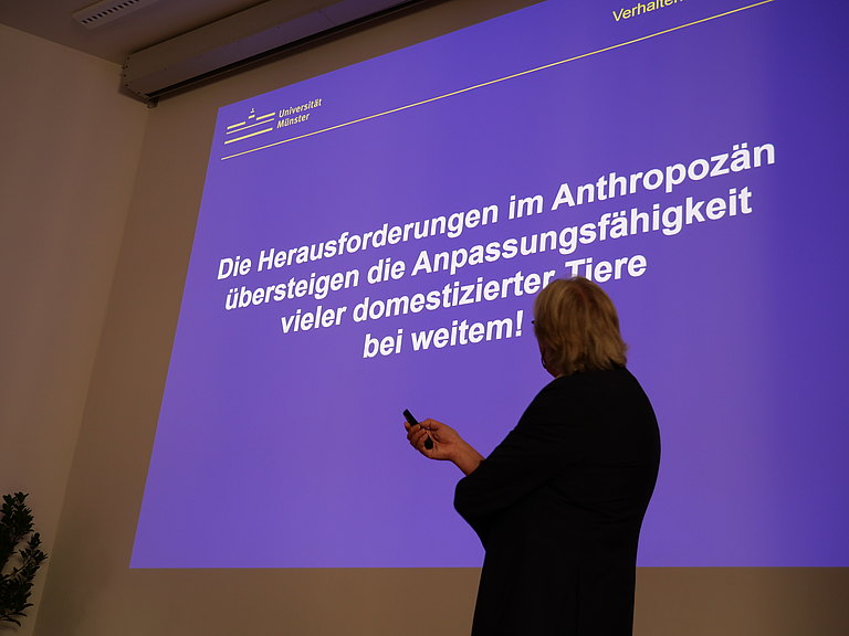 P1156044.JPG 