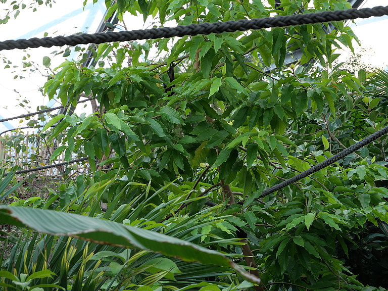 P1156067.JPG 