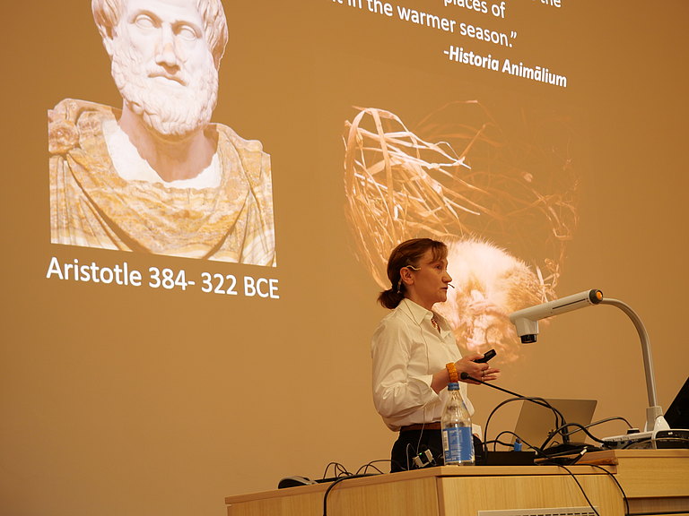P1155732.JPG 