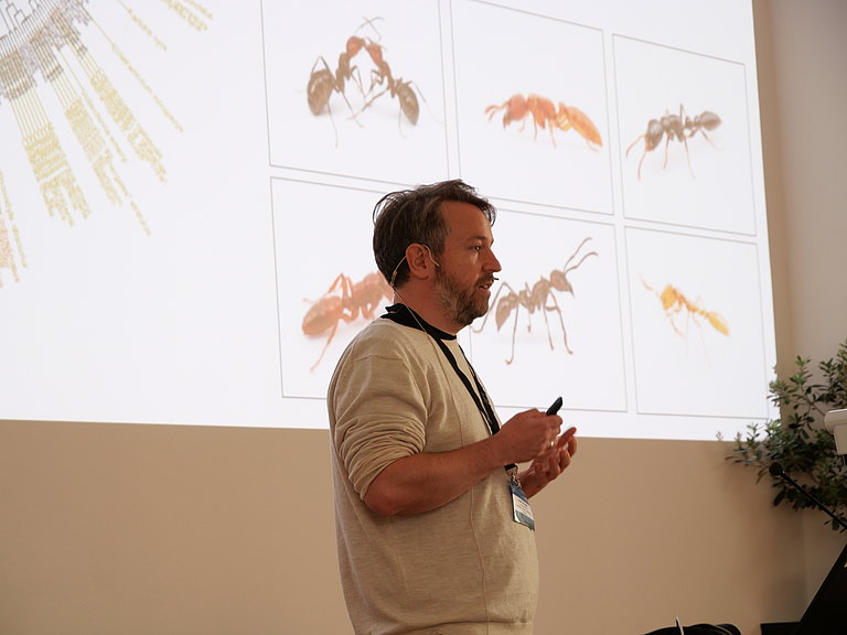 P1156367.JPG 