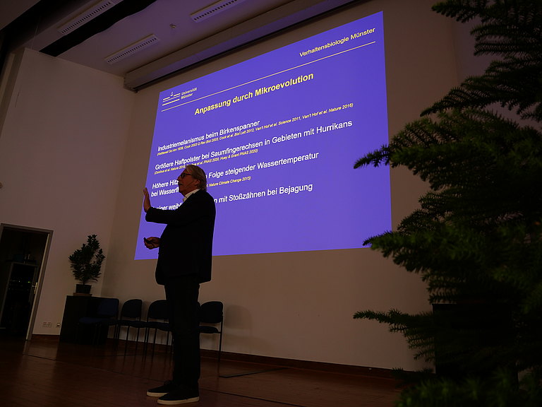 P1155940.JPG 