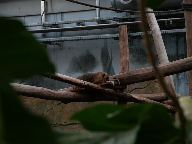 P1156129.JPG 