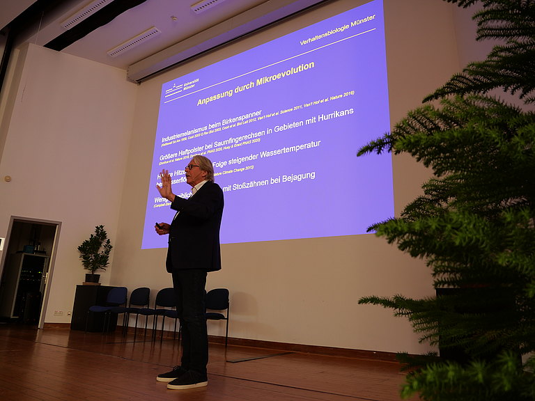 P1155942.JPG 