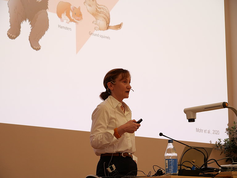 P1155738.JPG 