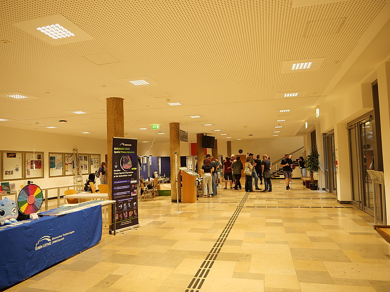 01155537.jpg 