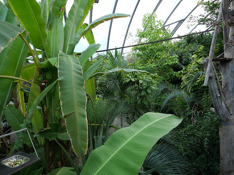P1156062.JPG 