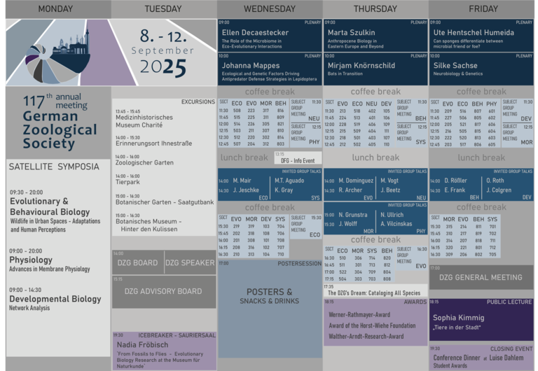 Programm_Details_Slots.png 