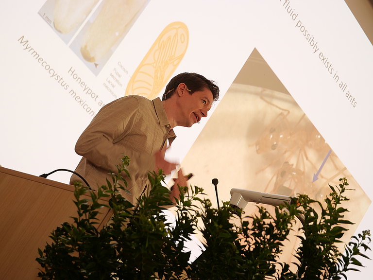 01145427.jpg 