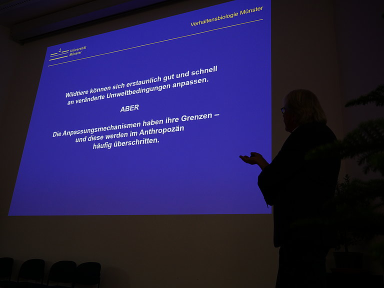 P1155964.JPG 