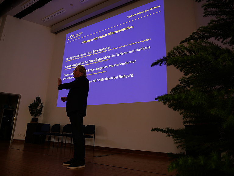 P1155941.JPG 
