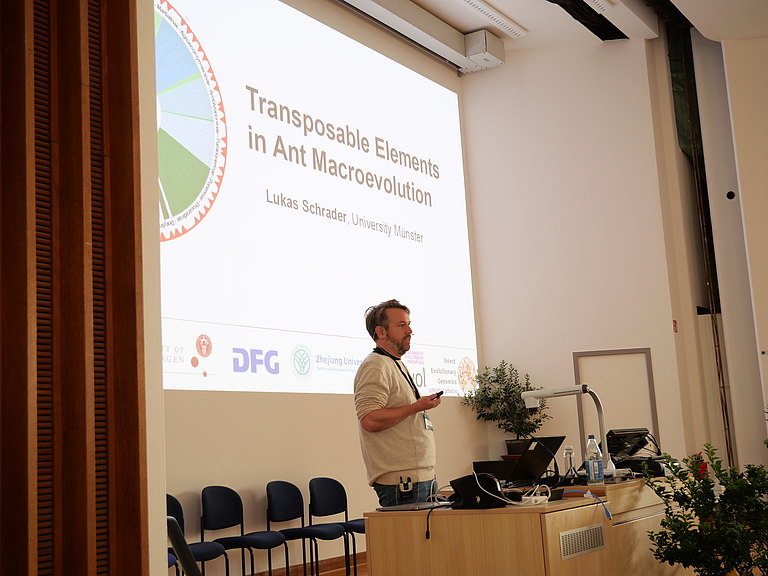 P1156353.JPG 