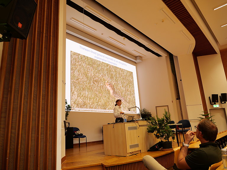P1155741.JPG 