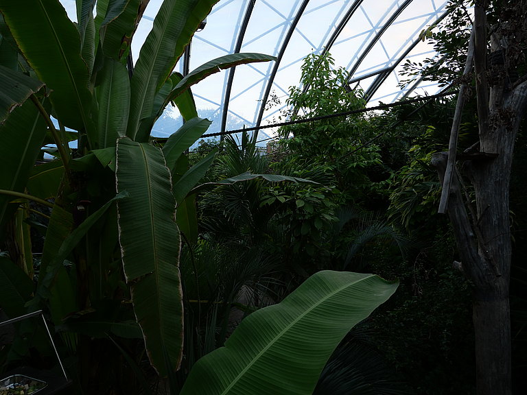 P1156061.JPG 