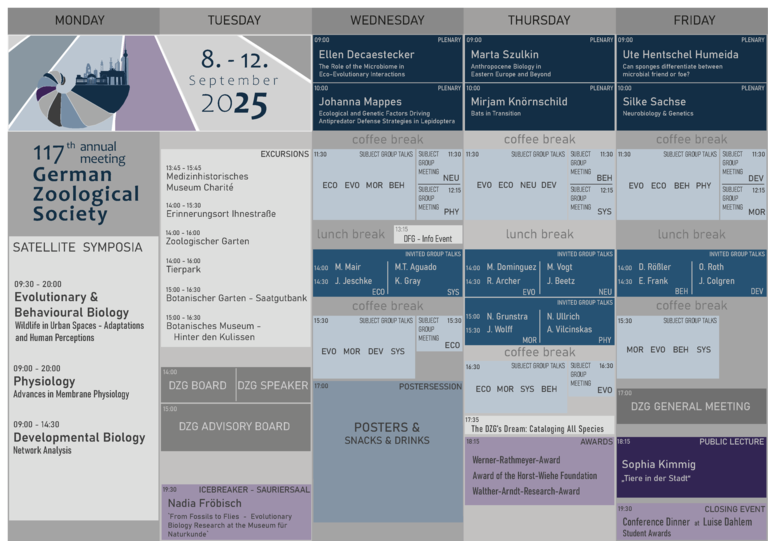 Programm_Details-5.png 