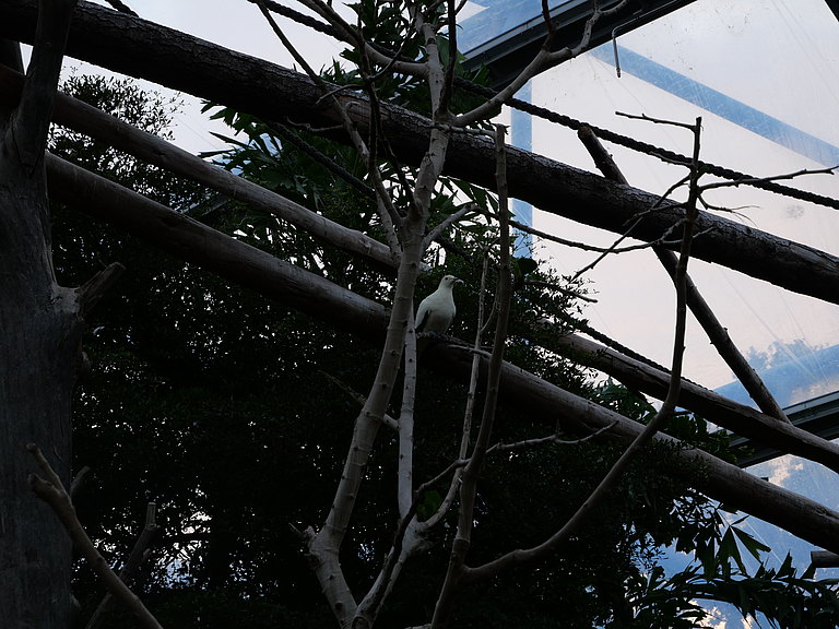P1156073.JPG 