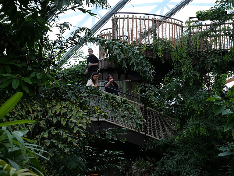 P1156078.JPG 