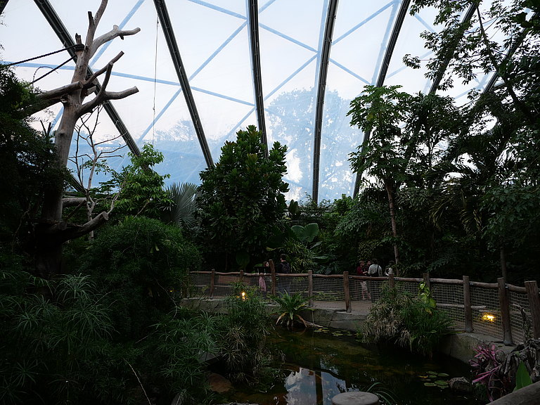 P1156134.JPG 