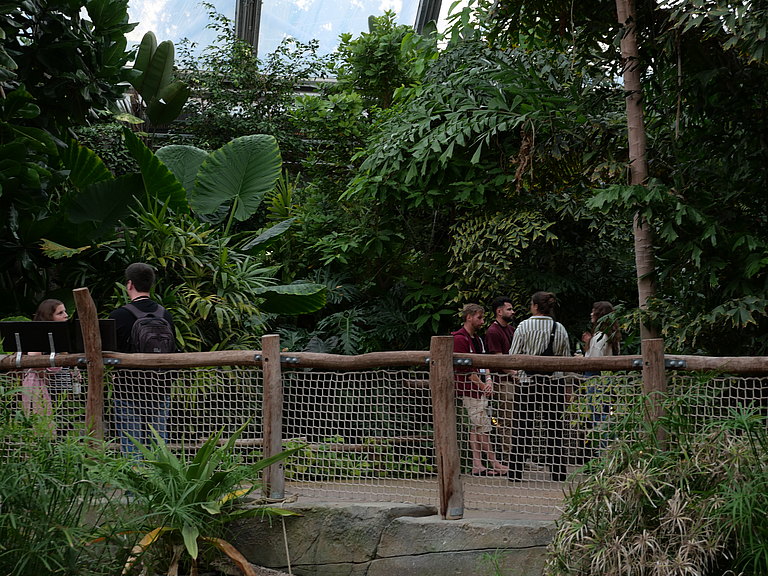 P1156138.JPG 