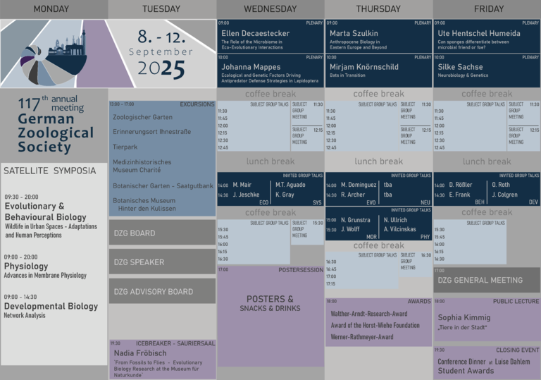 Programm_Details-3.png 
