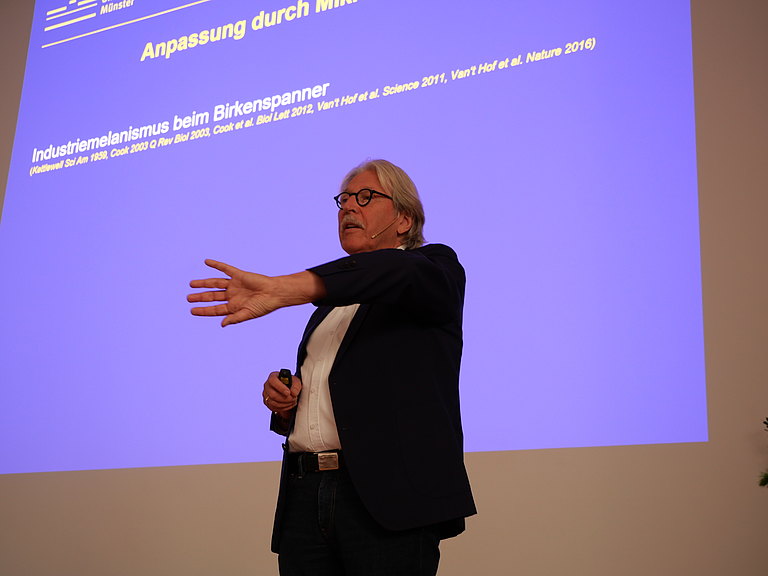 P1155934.JPG 