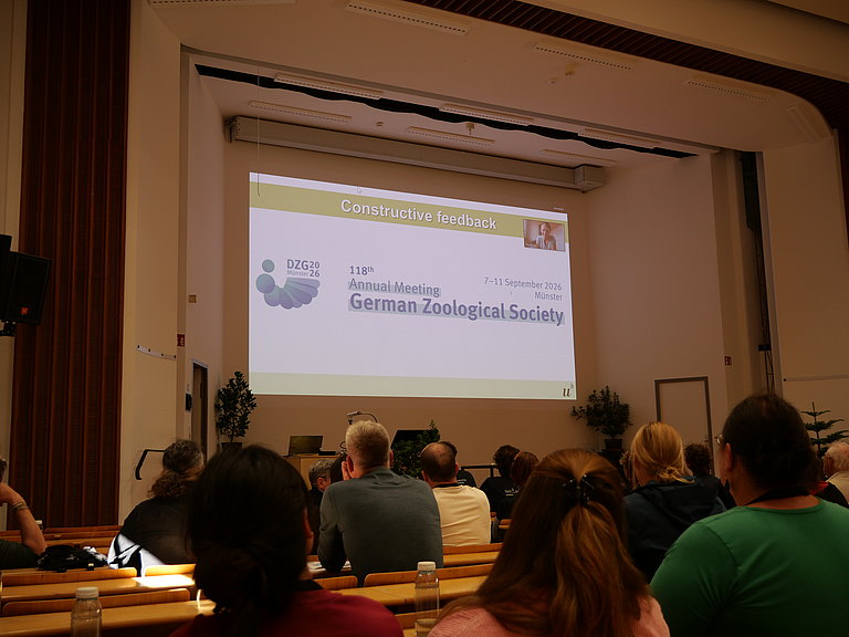 P1155862.JPG 