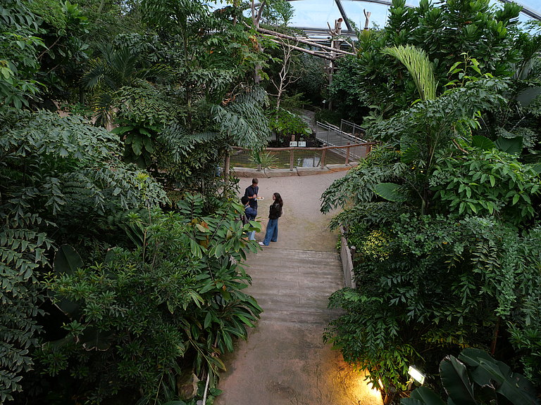 P1156168.JPG 