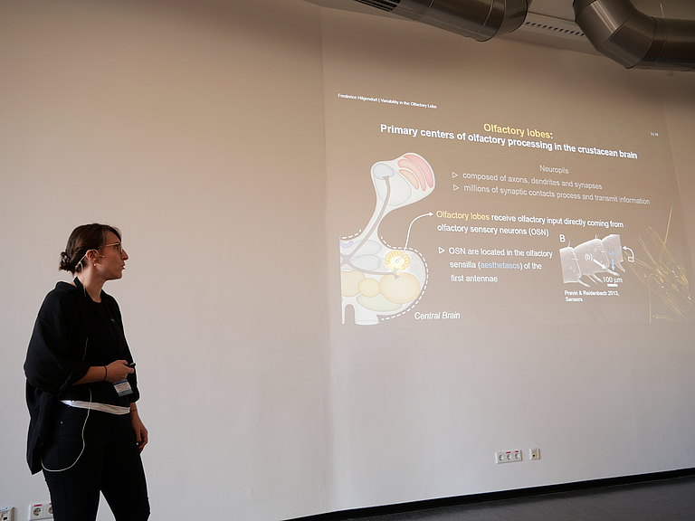 P1155774.JPG 