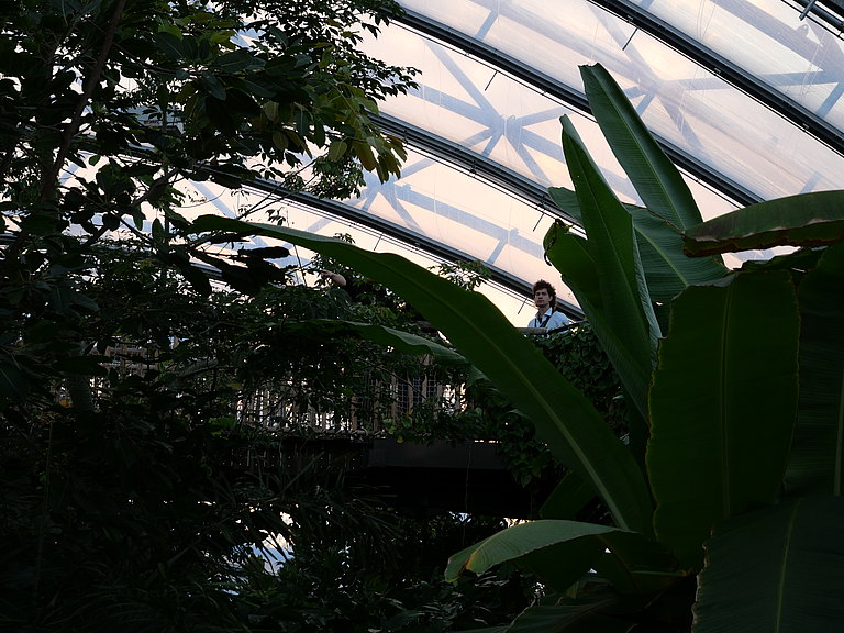 P1156063.JPG 