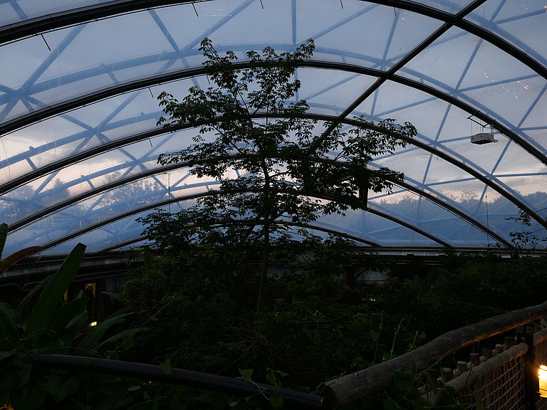 P1156163.JPG 