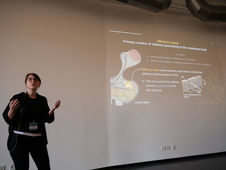 P1155775.JPG 