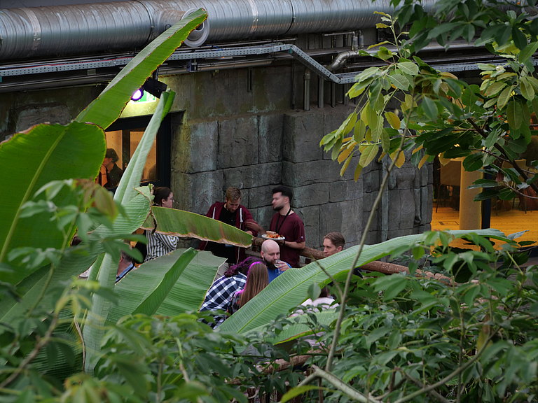 P1156176.JPG 
