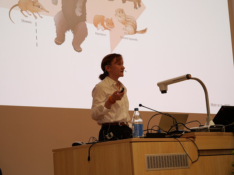 P1155735.JPG 