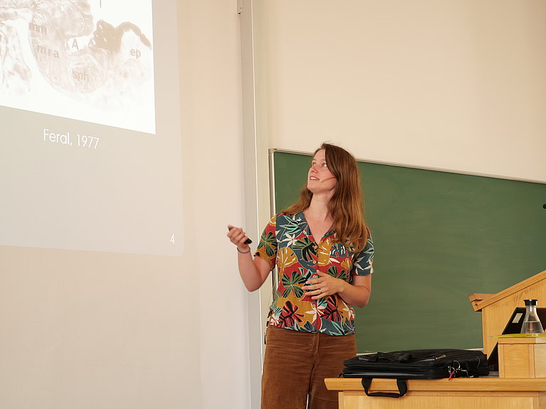 P1155809.JPG 